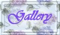 gallery button