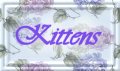 kittens button
